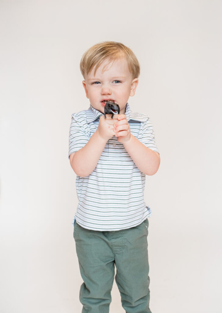 toddler boy holding a dinosaur toy and growling at the camera